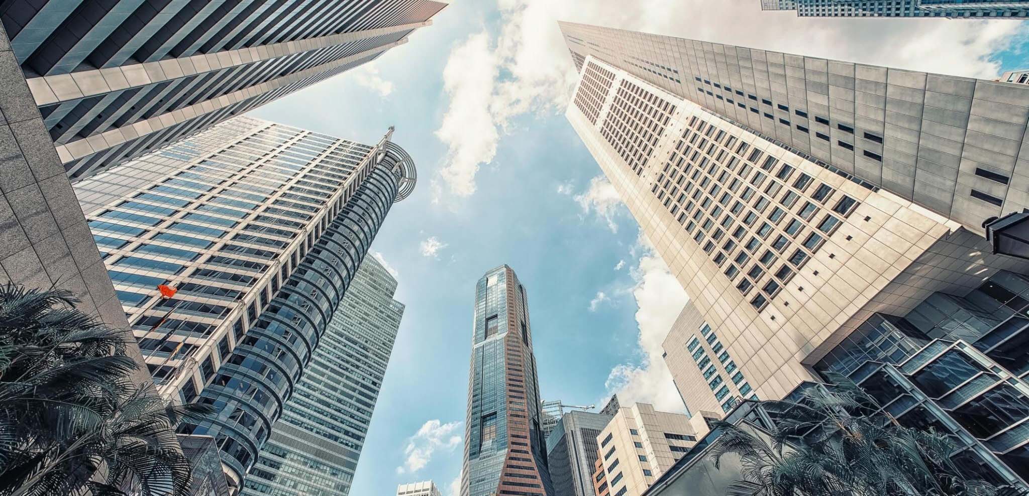 Qualified & Experienced
Consultant